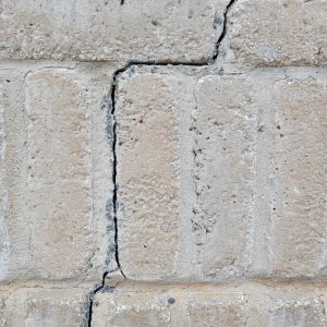 476001529_122143526108501141_6075517070482448251_n