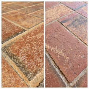 486757227_122157342122501141_6628062749936792856_n