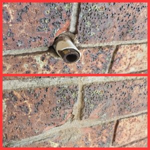 516736824_122174101892501141_8759725084856389029_n