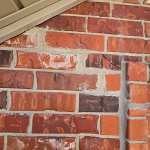 536279491_122181100280501141_3562928772020178371_n