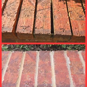 558001572_122189790416501141_4363523260394395350_n